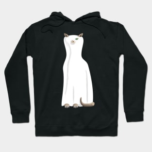 Ghostly Cat Hoodie